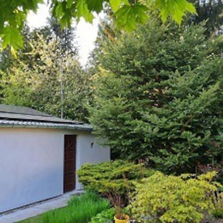 Villa Pod Jablonia Bydgoszcz Esterno foto