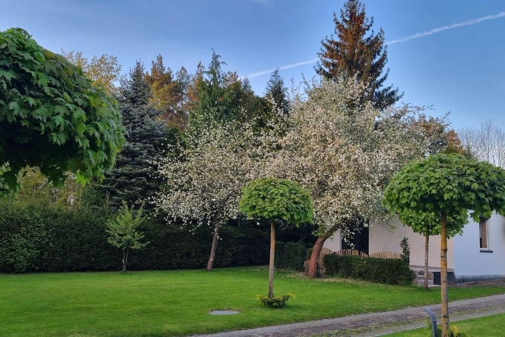 Villa Pod Jablonia Bydgoszcz Esterno foto