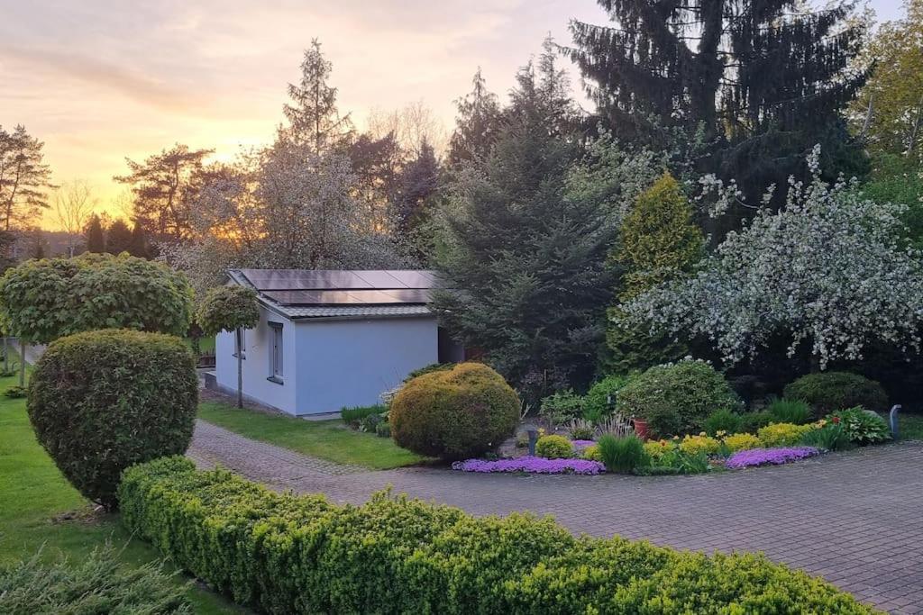 Villa Pod Jablonia Bydgoszcz Esterno foto