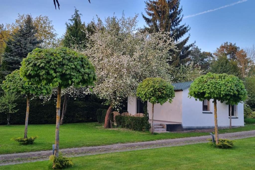 Villa Pod Jablonia Bydgoszcz Esterno foto